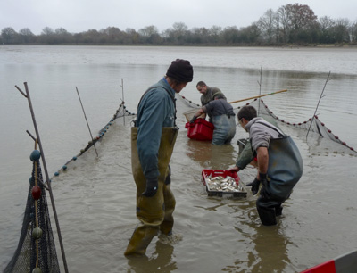 peche-etang-dec2014-50peche-etang-dec2014-50